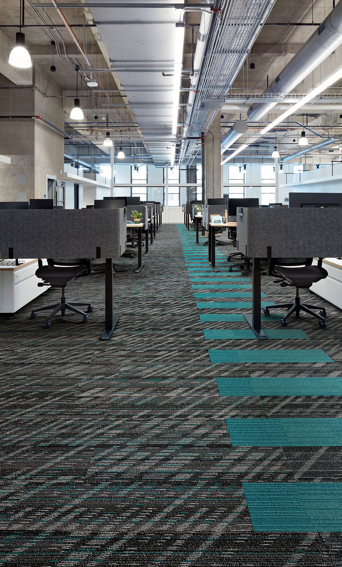 Interface Soft Glow and On Line plank carpet tile in open office numéro d’image 9