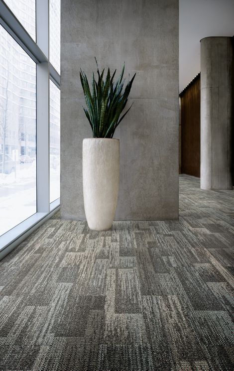 Interface AE311 plank carpet tile in lobby with large plant imagen número 2