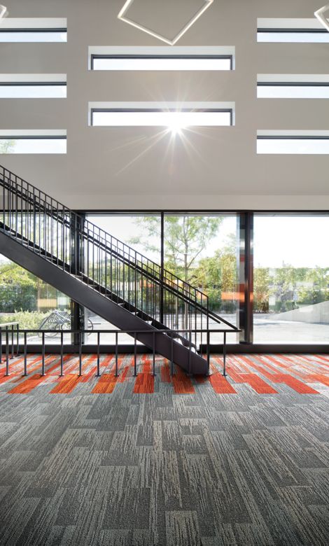 AE315: Aerial Collection Carpet Tile by Interface