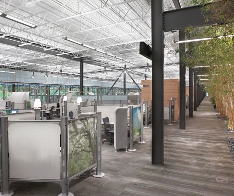 Interface Chenille Warp and Transformation carpet tile in office cubicles and corridor with trees image number 8