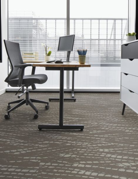 Interface Artist Proof plank carpet tile in private office
