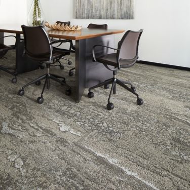 Interface Ferris plank carpet tile in a conference room numéro d’image 1