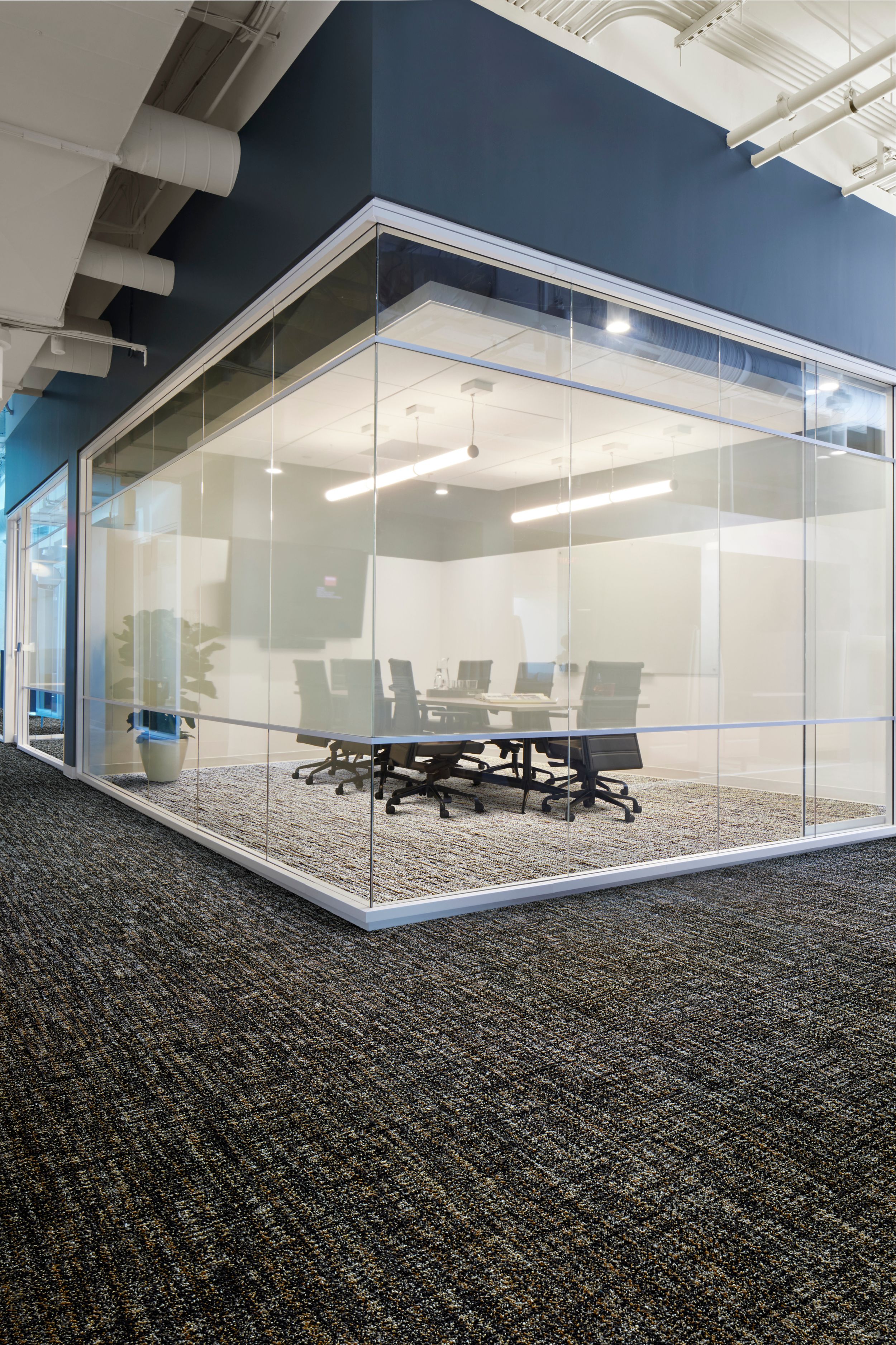 Interface C551 plank carpet tile in office with glass walls image number 1