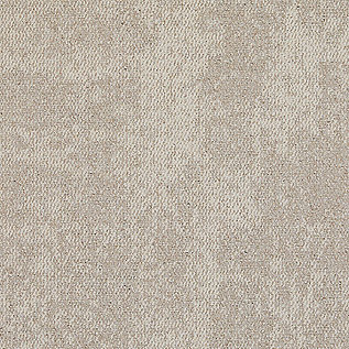 CE100 Carpet Tile in Consider image number 14