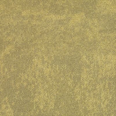 CE100 carpet tile in Exist