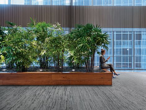 Interface CE171, CE172 and CE173 plank carpet tile in public area with woman seated in front of plants