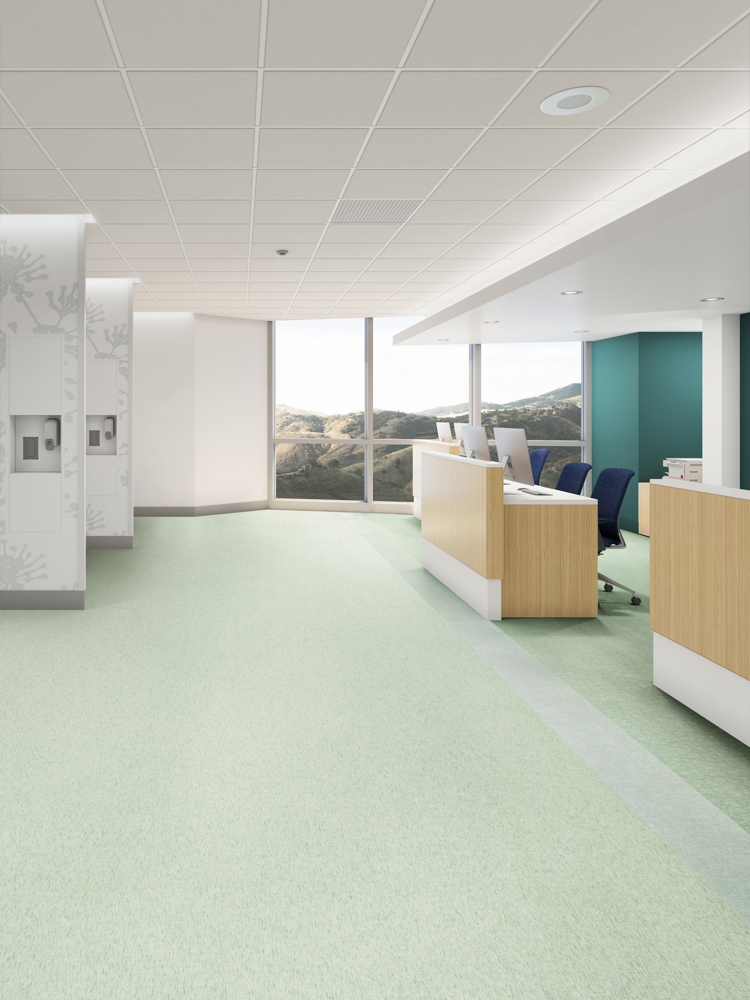 Interface Plant-astic and Cactus Makes Perfect LVT in reception area imagen número 9