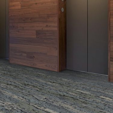 Interface Deeply Rooted and Uprooted plank carpet tile in elevator lobby imagen número 1