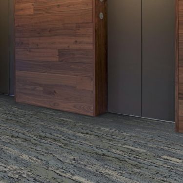 Interface Deeply Rooted and Uprooted plank carpet tile in elevator lobby numéro d’image 1