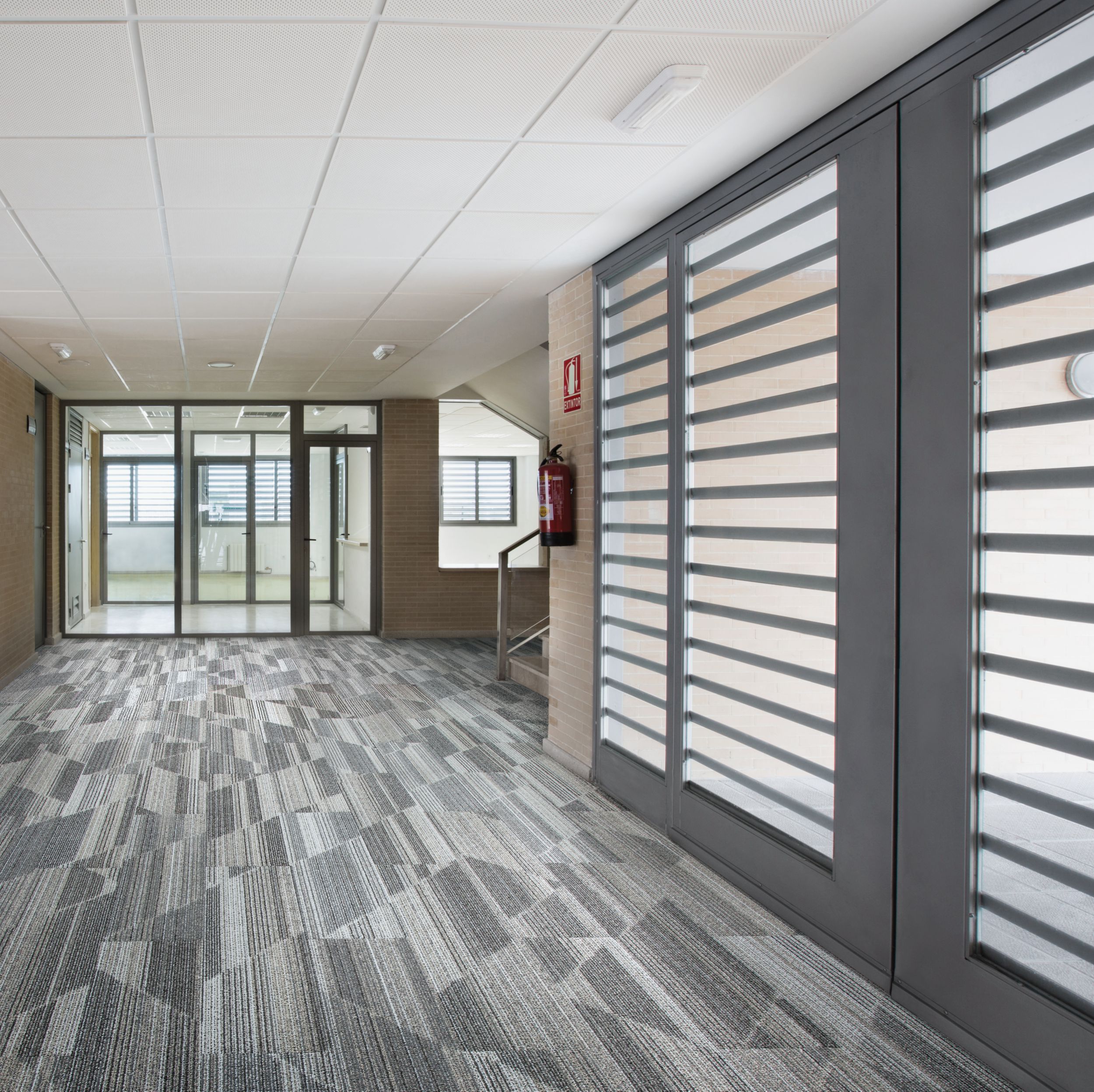 Interface Driftwood plank carpet tile in open area of corridor numéro d’image 1