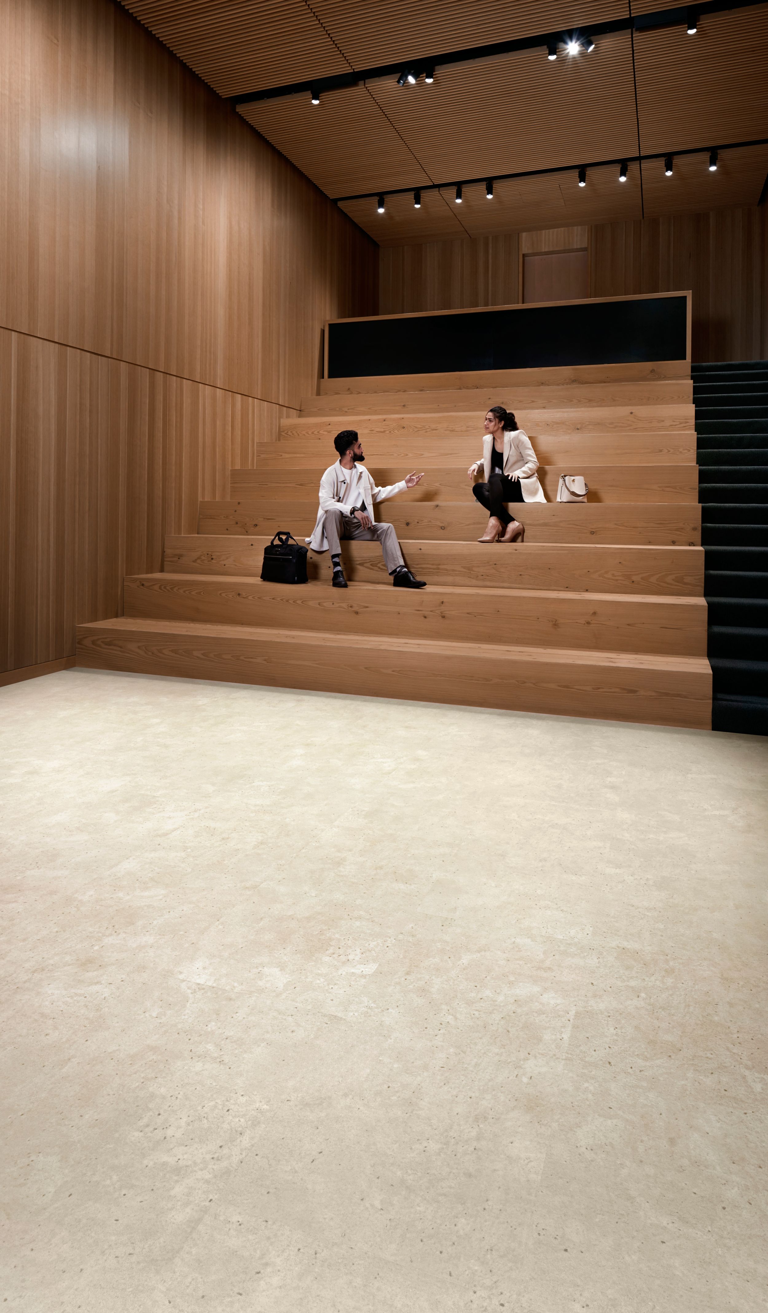 Interface Hearth plank LVT in stairwell area with stadium seating numéro d’image 4