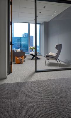 【NSW】EU版Catmaze catm-p717393-061019-f13-