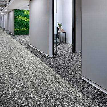 Interface Glisten plank carpet tile in office corridor and small meeting rooms with foliage wall