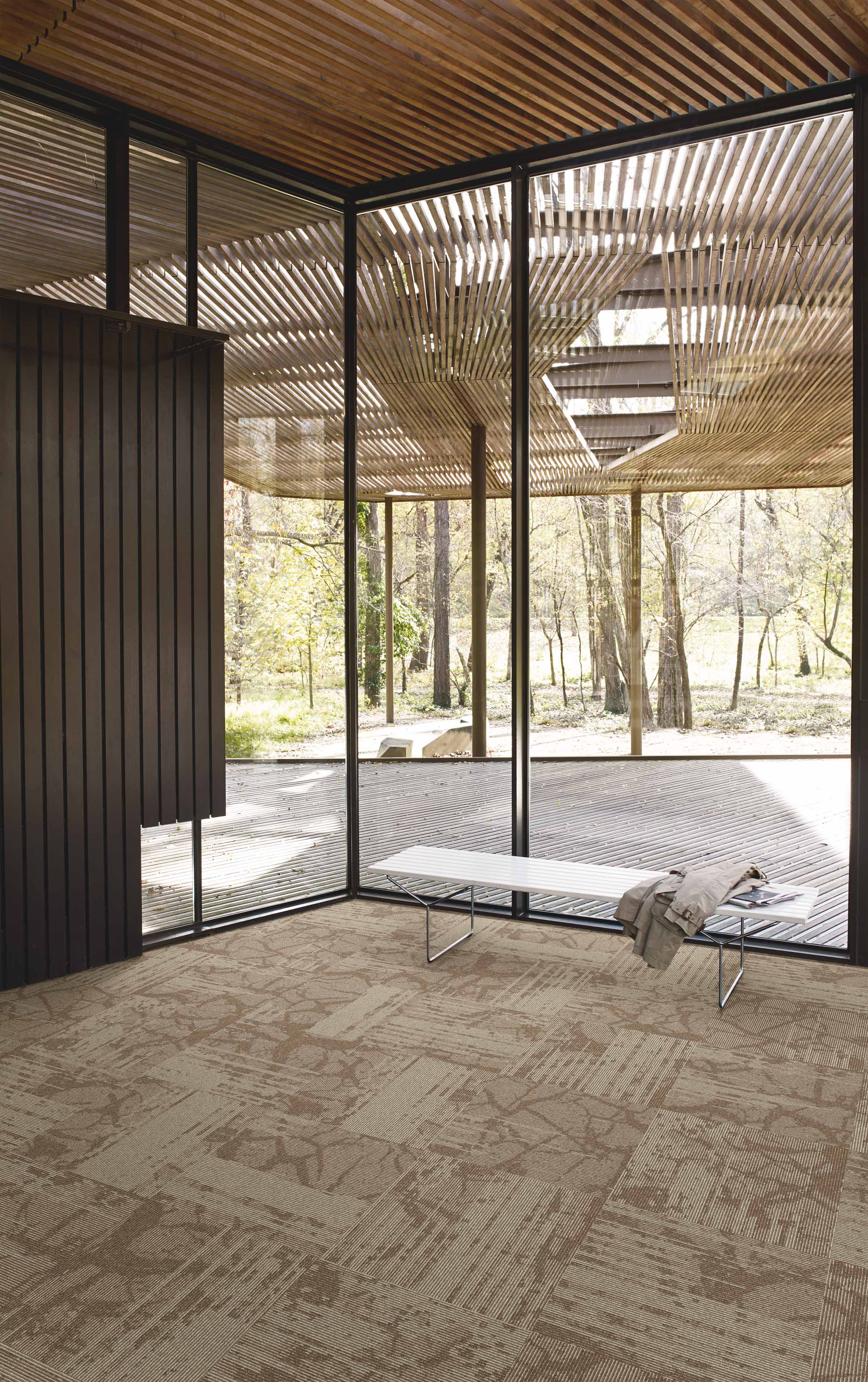 Interface Ground plank carpet tile against large glass windows with white bench imagen número 8