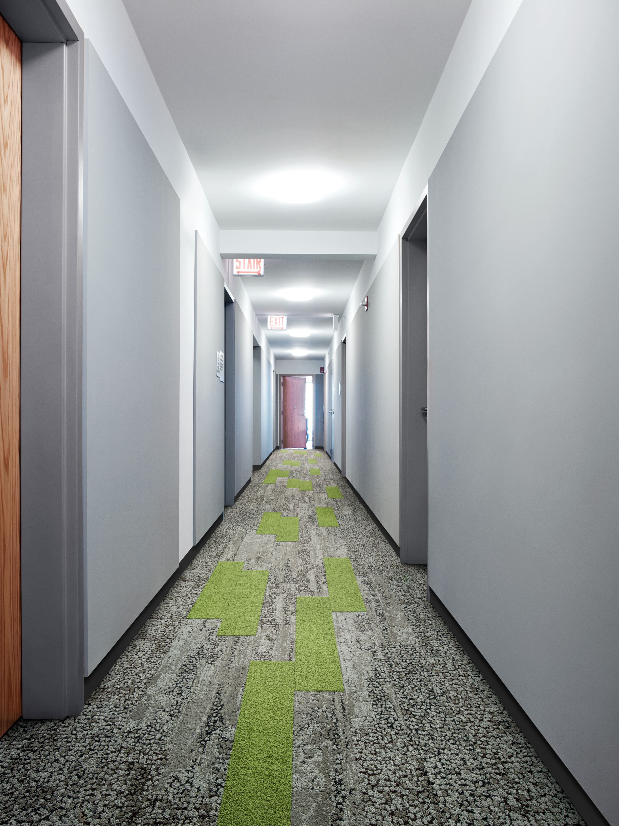 Interface HN830 and HN850 plank carpet tiles in long corridor with mutliple doors and wood door at end afbeeldingnummer 6