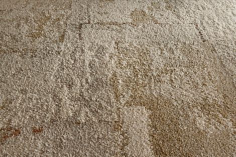 Early Light Carpet Tile in Claystone image number 4