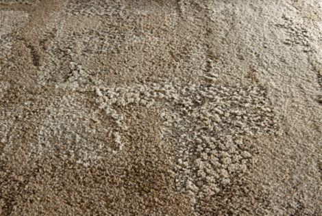 Sun Between Carpet Tile in Sandstone image number 4