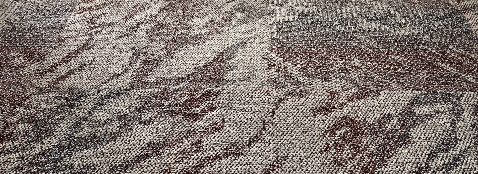 Hard Truth carpet tile in Wine installed non directional