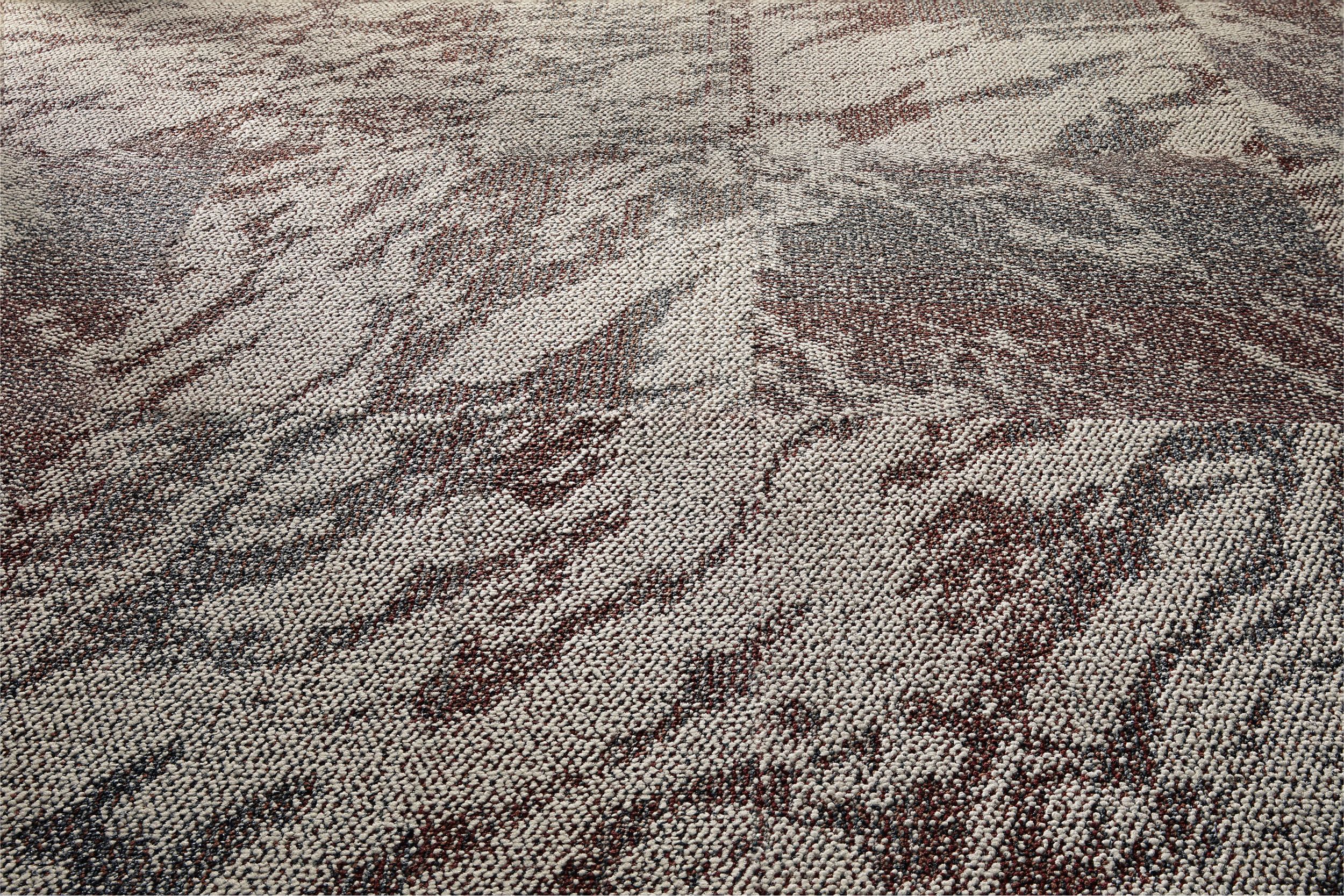 Hard Truth carpet tile in Wine installed non directional image number 5