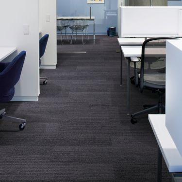 Interface Harmonize plank carpet tiles in cubicle area with focus room in background and cement column imagen número 1