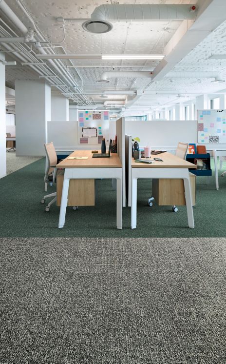 Interface Heart Songs carpet tile in workspace with two wood desks and chairs numéro d’image 1