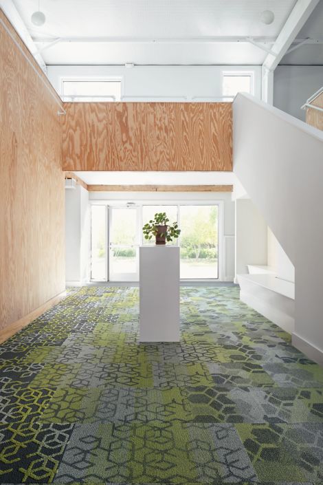 Interface Bee's Knees carpet tile and LVT in entryway with plant on stand image number 3
