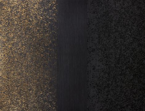Shantung, Dither Silk, Silk Age, Ebony Black Rose, Black Rose, Golden Black Rose image number 6