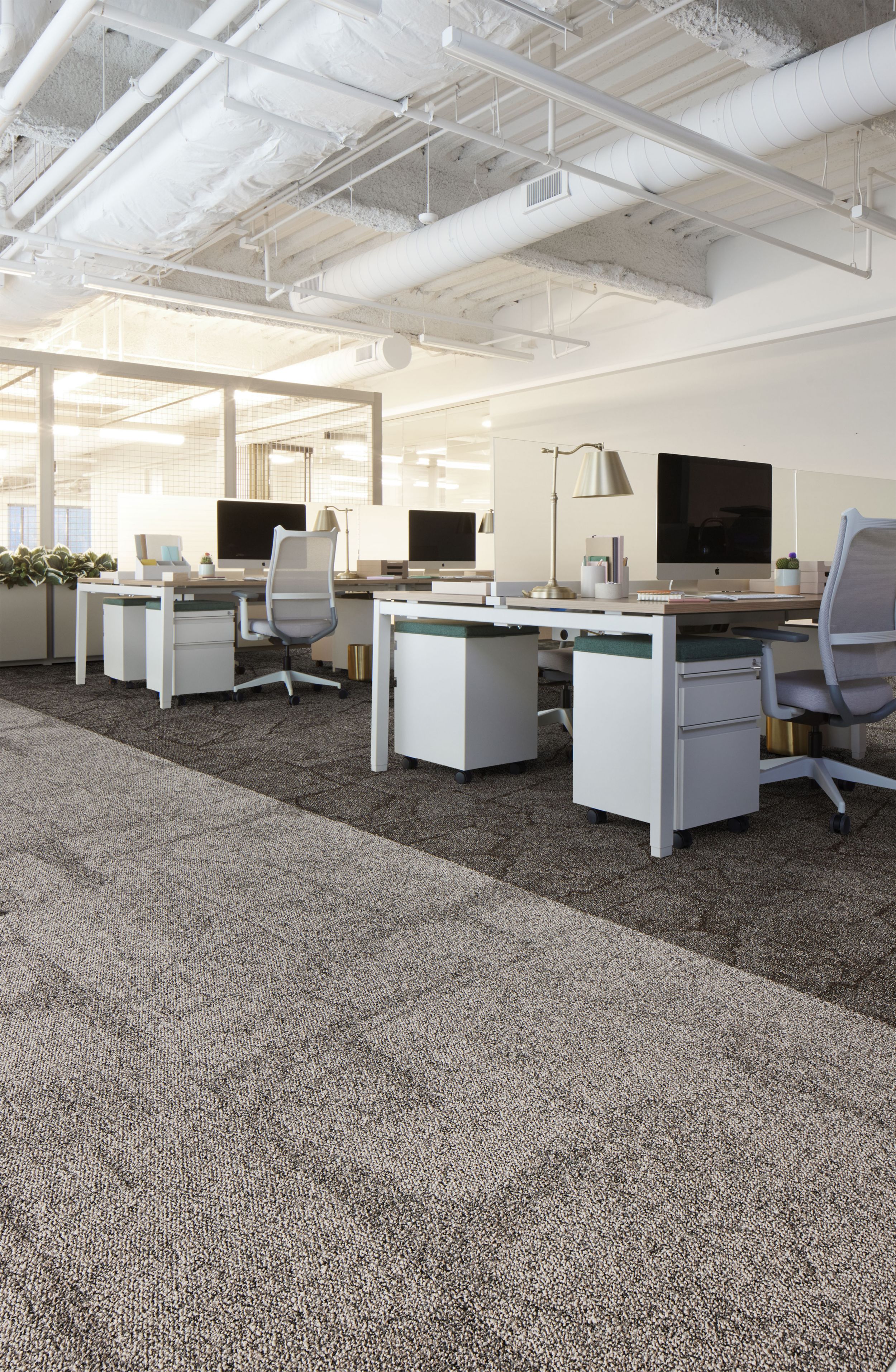 Interface Jumbo Rock and Cap Rock carpet tile in open office numéro d’image 2