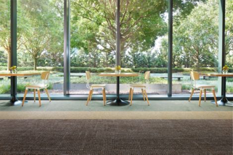 Interface Open Ended plank carpet tile in dining area imagen número 5