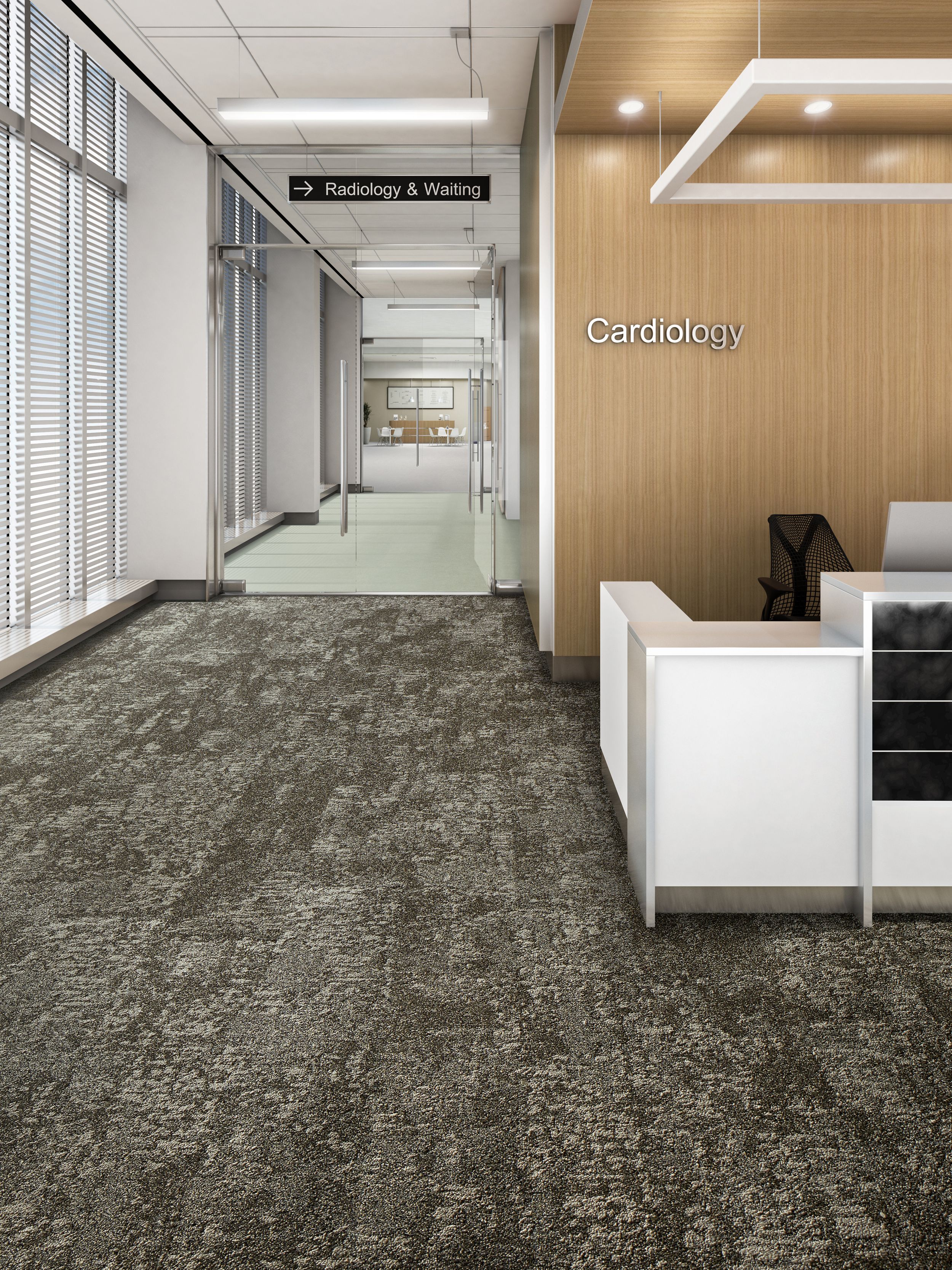 Interface Just Deserts plank carpet tile in lobby area with Plant-astic LVT in corridor imagen número 7