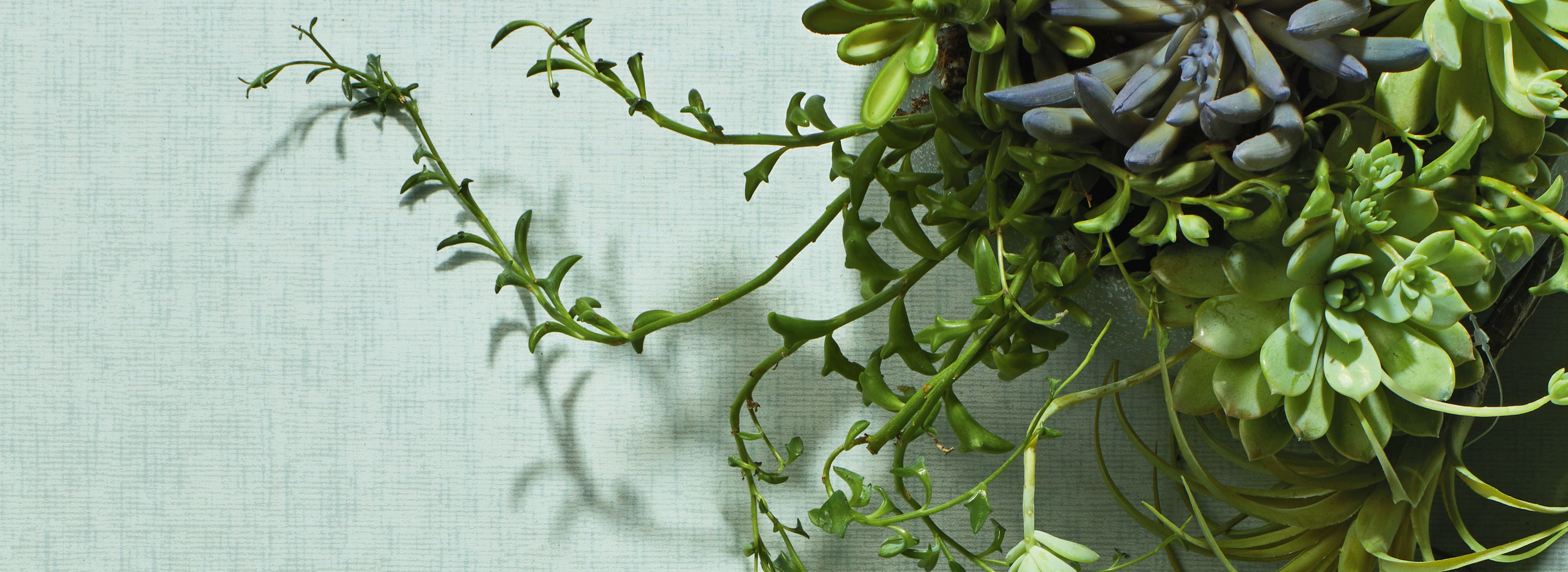 Interface Plant-astic LVT image number 1