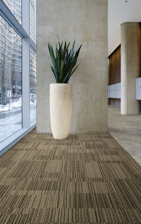 Interface Lima carpet tile and Textured Stones LVT in side of hallway with plant in center imagen número 2