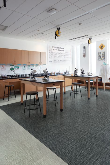 Interface Native Fabric LVT in science lab