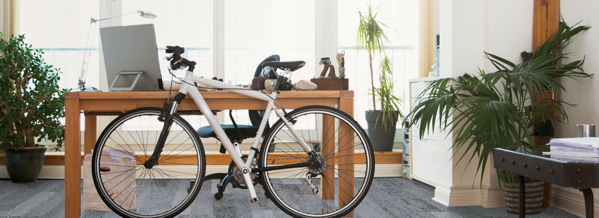 Interface Nature's Course plank carpet tile in private office with desk and bike