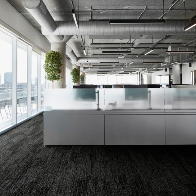 Interface Open Air 408 plank carpet tile in open workstations with frosted glass dividers