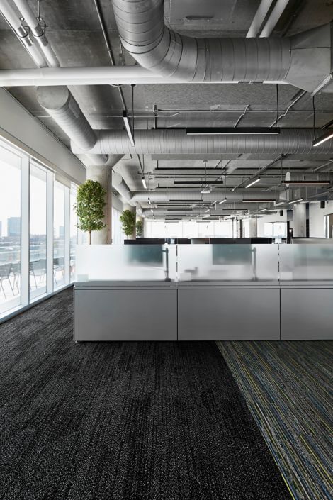 Interface Open Air 408 plank carpet tile in open workstations with frosted glass dividers