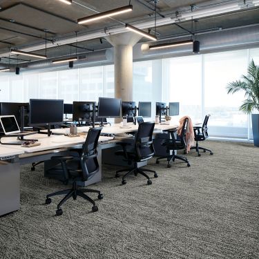 Interface Open Air 409 plank carpet tile with open work stations and cardigan draped over office chair