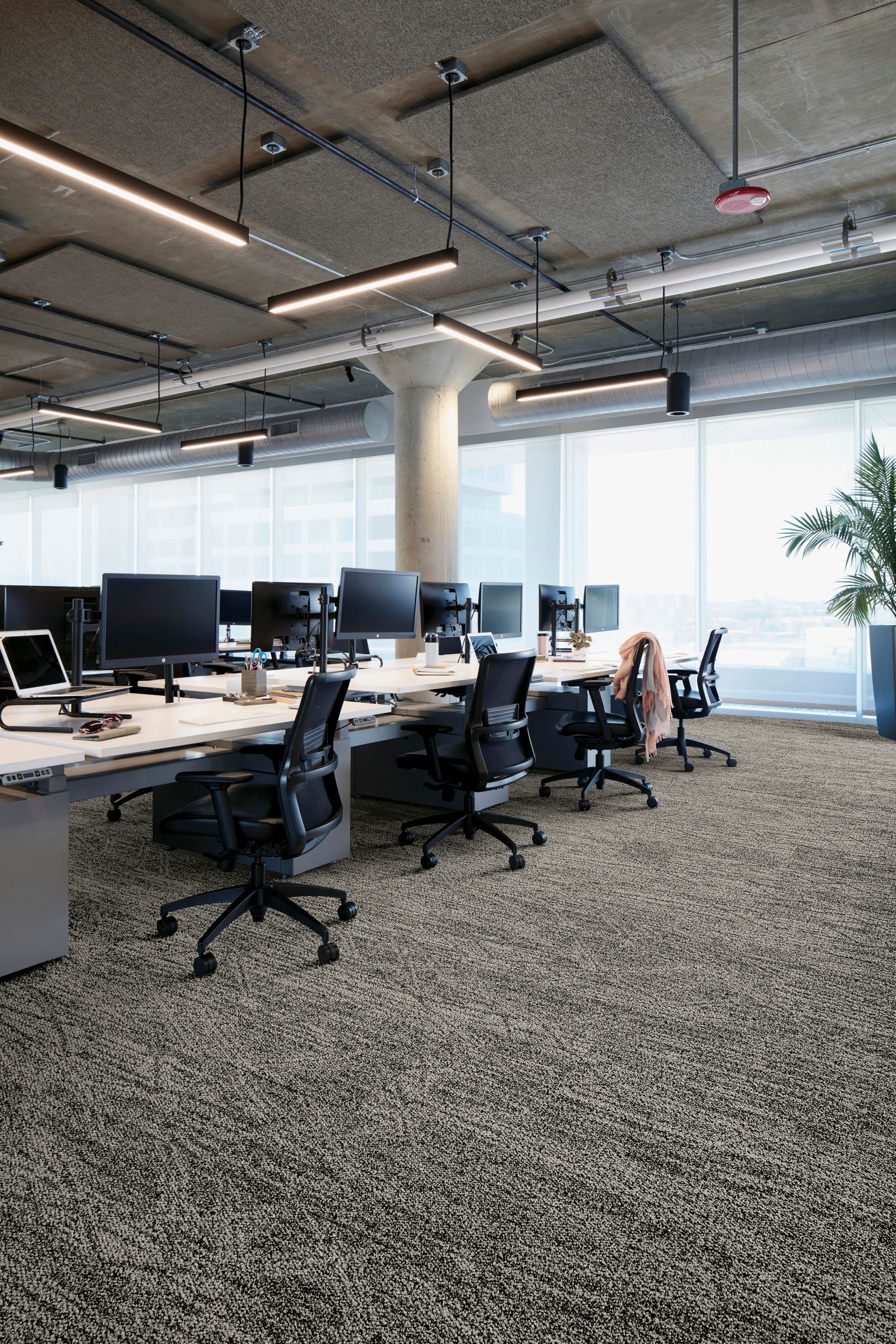 Interface Open Air 409 plank carpet tile with open work stations and cardigan draped over office chair image number 1