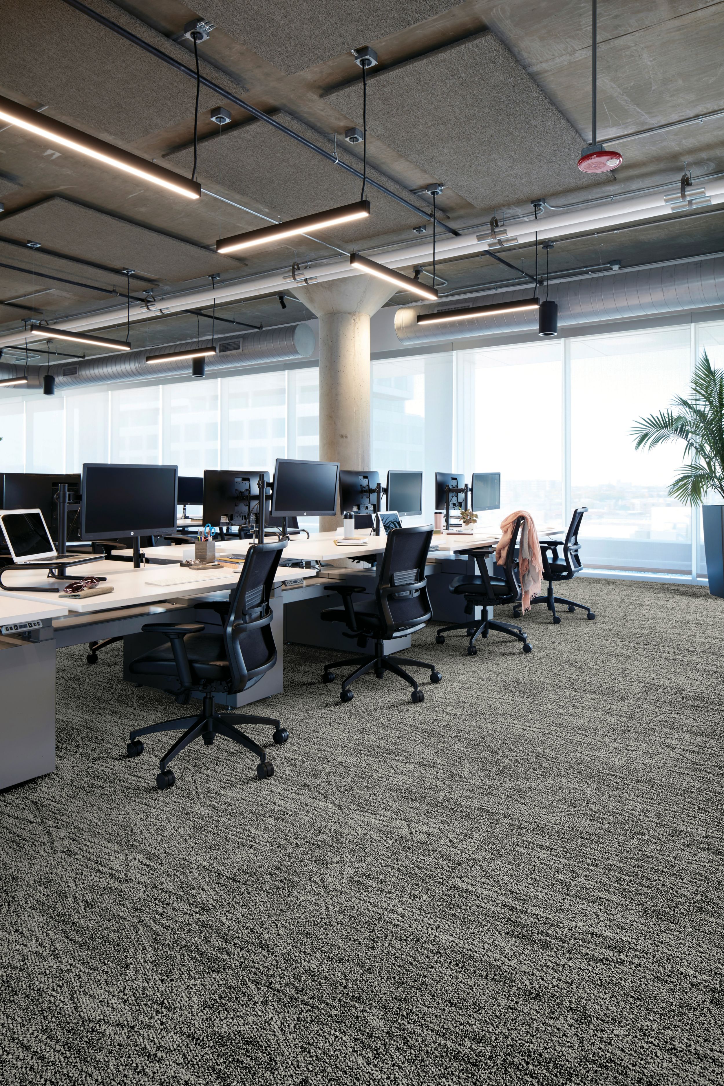 Interface Open Air 409 plank carpet tile with open work stations and cardigan draped over office chair image number 1