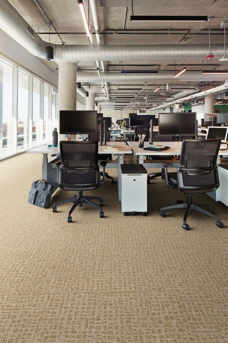 Interface Open Air 415 carpet tile in open office 图像编号 5