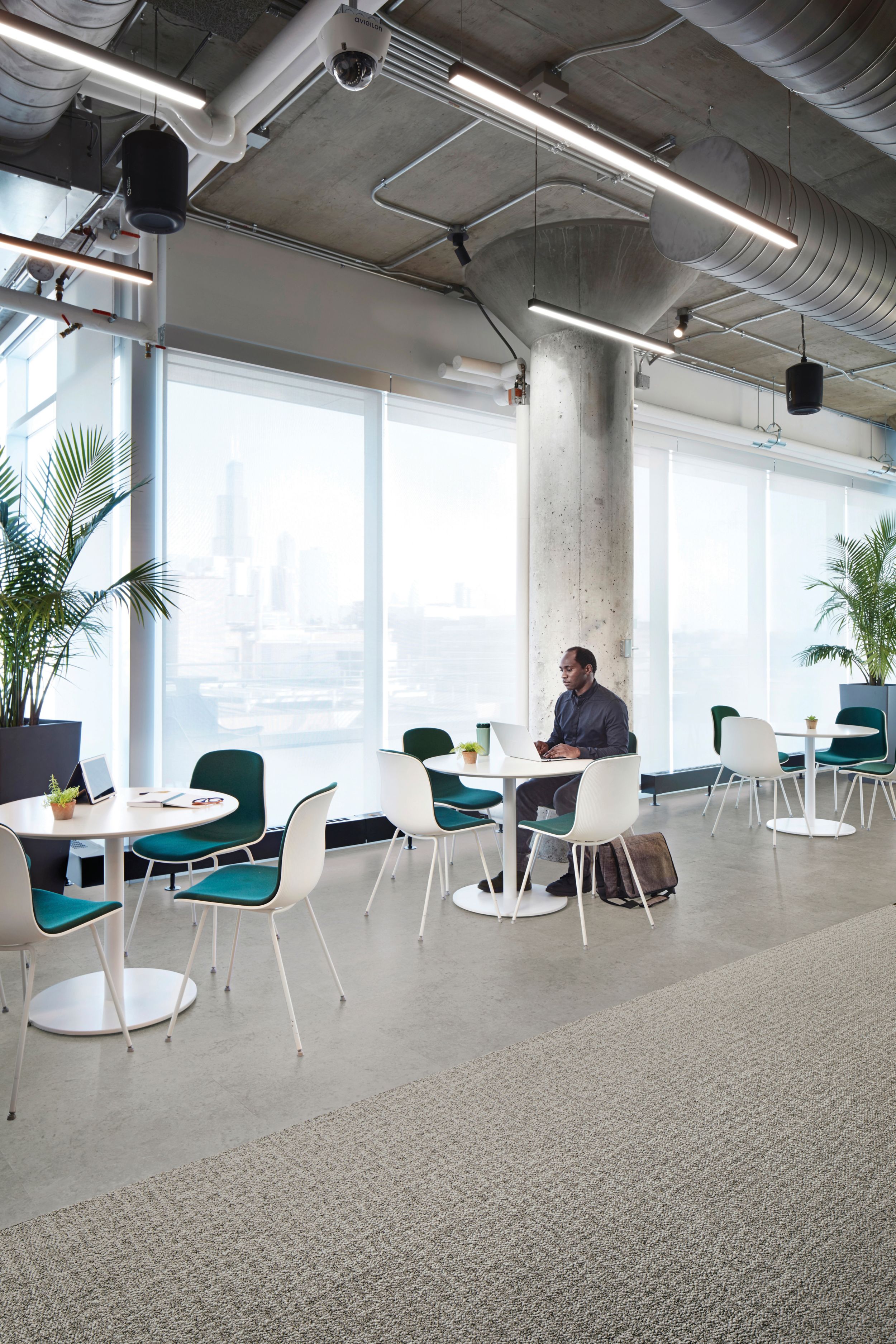 Interface Open Air 415 carpet tile in dining space with man working on laptop at white table image number 1