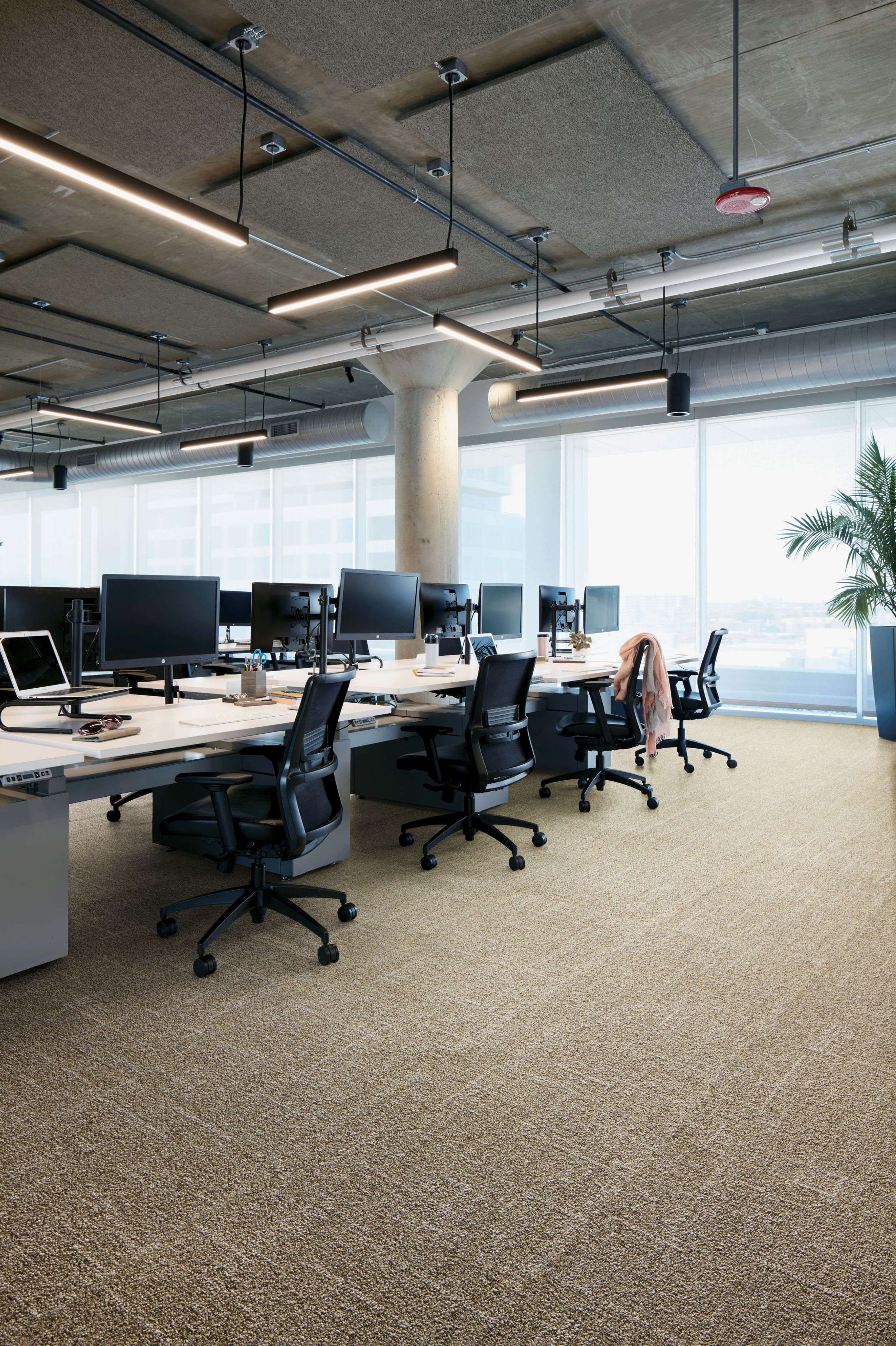 Interface Open Air 418 carpet tile in open office image number 5