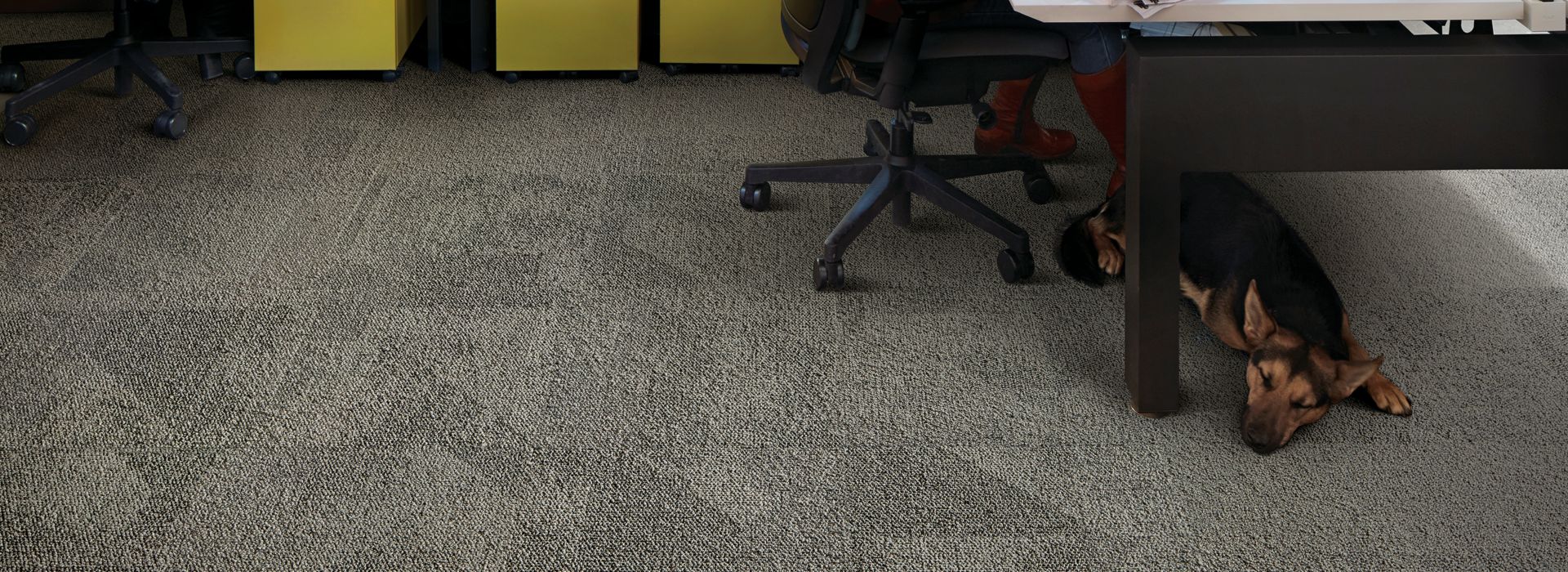 Interface Paver carpet tile and HN850 plank carpet tile in open office area with multiple people working at desk