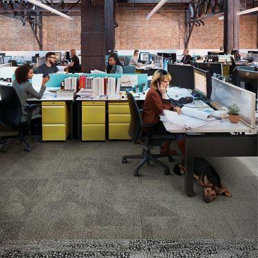 Interface Paver carpet tile and HN850 plank carpet tile in open office area with multiple people working at desk