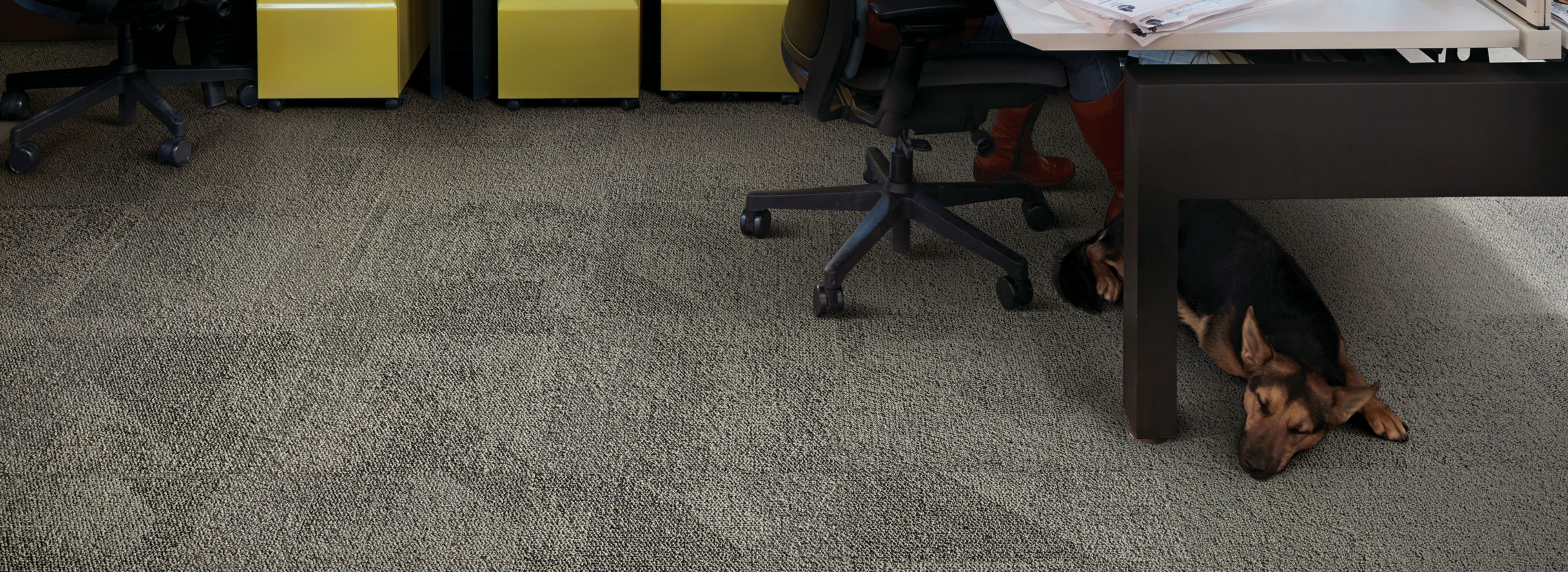 Interface Paver carpet tile and HN850 plank carpet tile in open office area with multiple people working at desk número de imagen 1