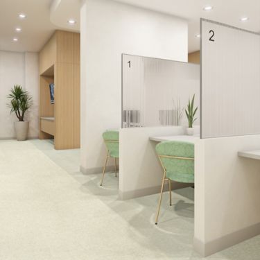 Interface Plant-astic and Cactus Makes Perfect LVT in consultation area numéro d’image 1