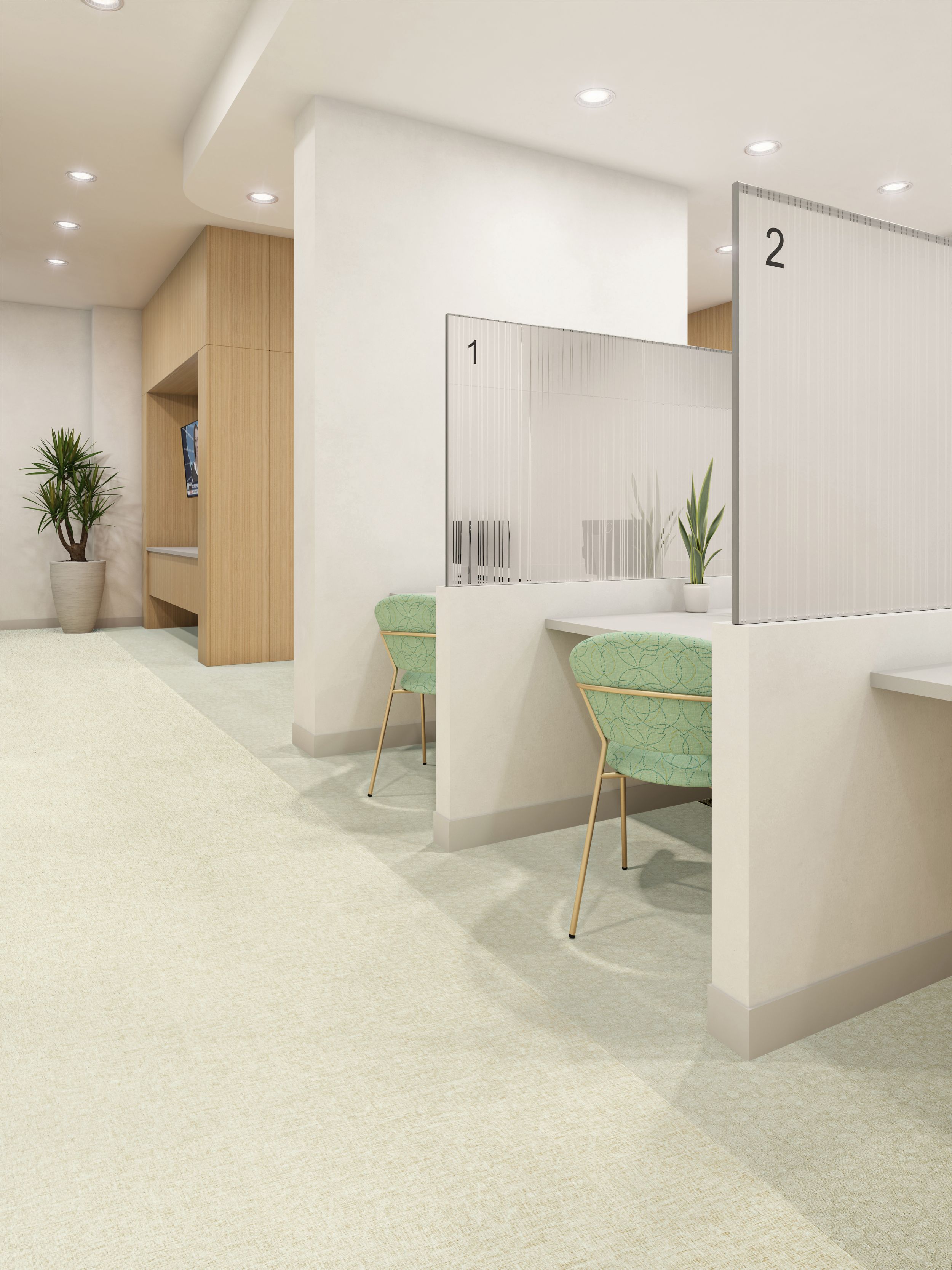 Interface Plant-astic and Cactus Makes Perfect LVT in consultation area image number 6