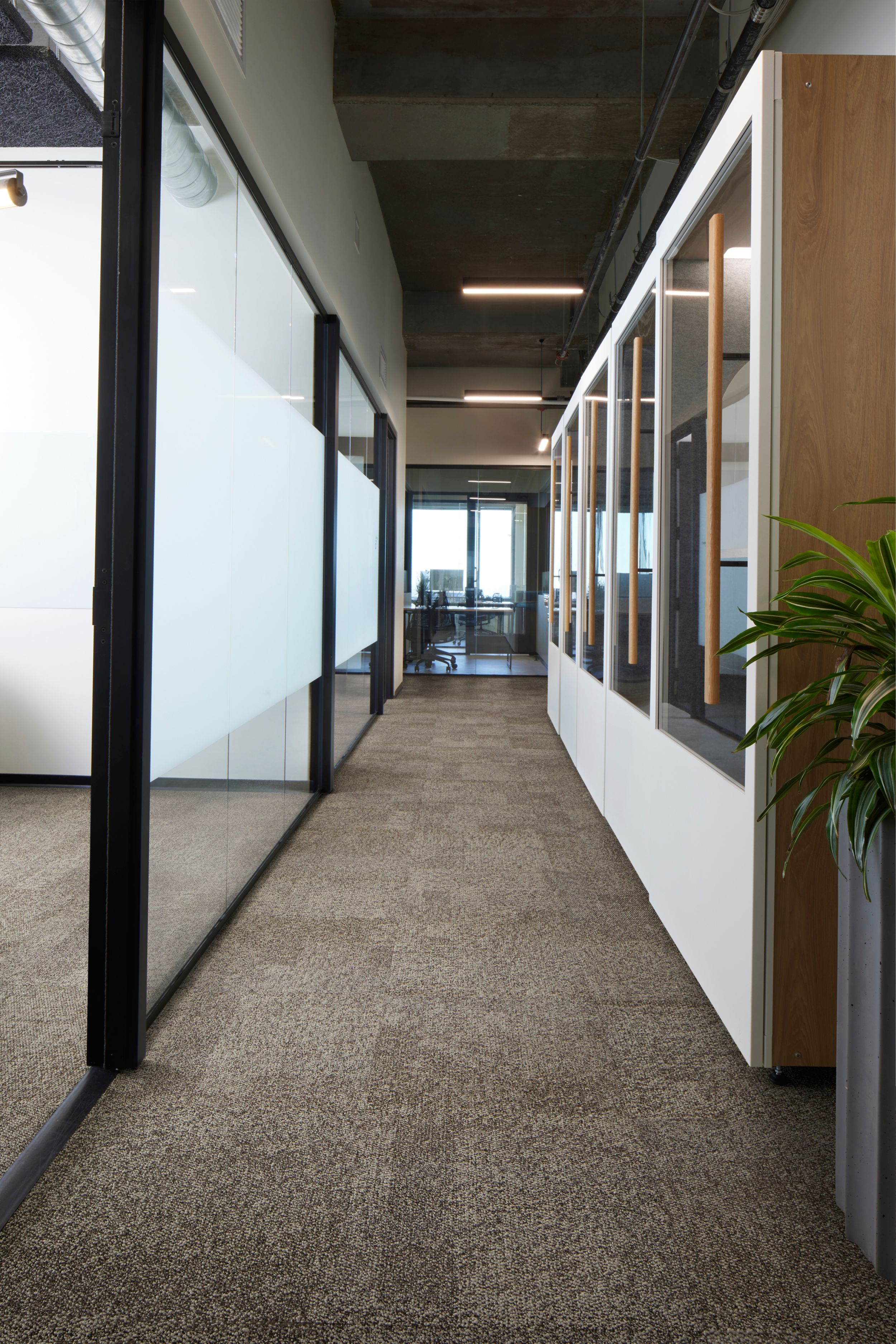 Interface Pressed for Time carpet tile in workplace corridor afbeeldingnummer 2