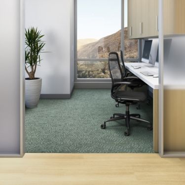 Interface Prickly as a Pear plank carpet tile in private office with Textured Woodgrains LVT in corridor numéro d’image 1