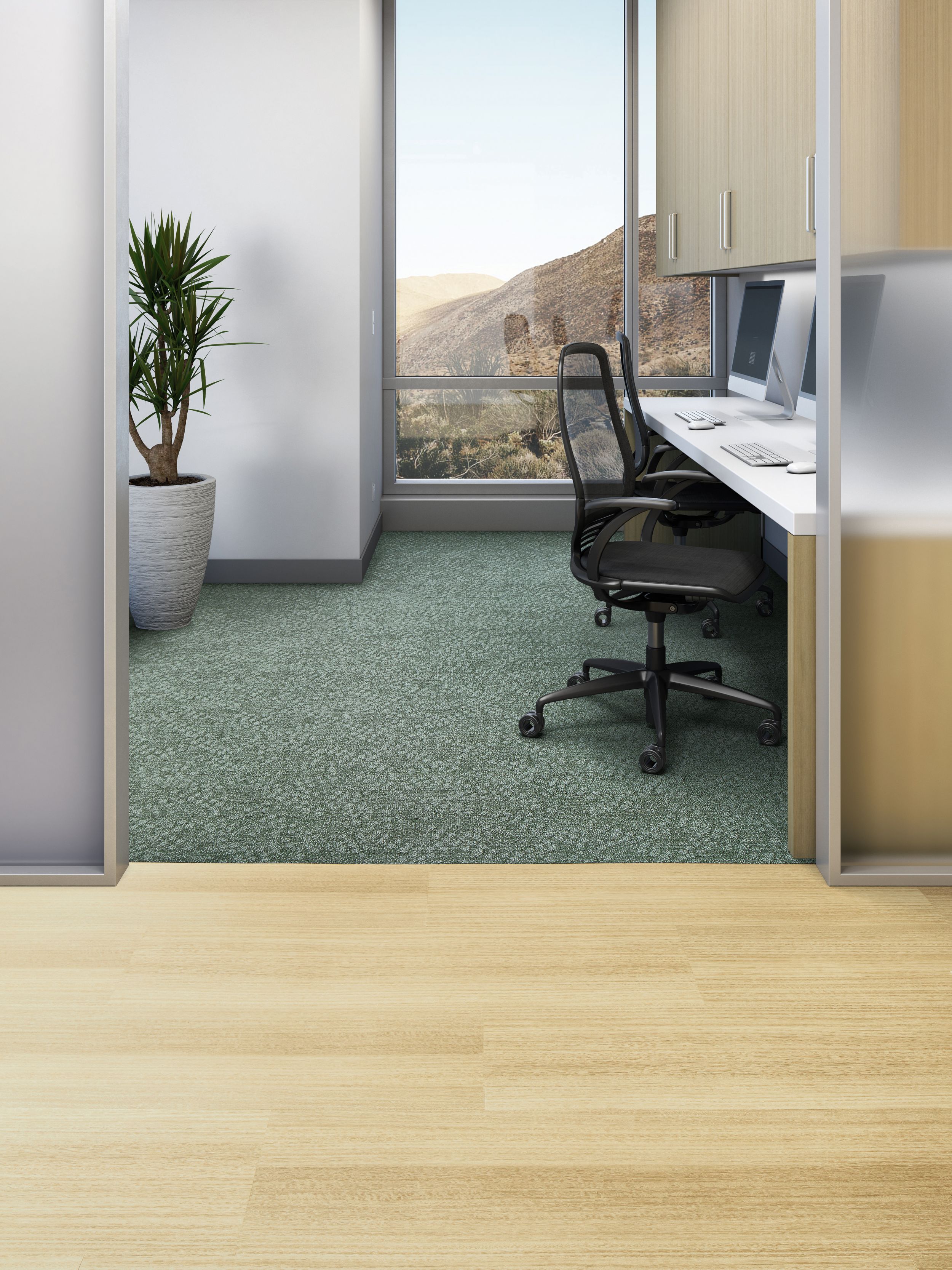 Interface Prickly as a Pear plank carpet tile in private office with Textured Woodgrains LVT in corridor image number 1